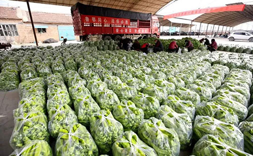 我是湖南長(zhǎng)沙蔬菜批發(fā)市場(chǎng)，買多少錢的農(nóng)藥殘留檢測(cè)儀合適？